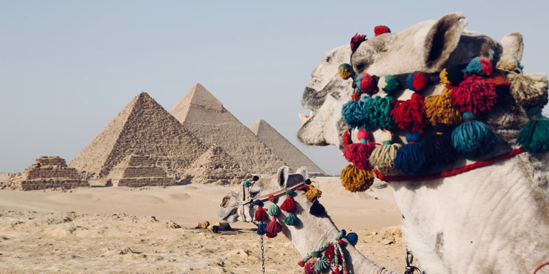 Visite du Caire et des pyramides de Gizeh
